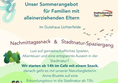 Flyer Sommerangebot für allein- und getrennterziehende Eltern